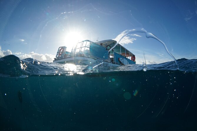 Waikiki Snorkel Tour - Is $50 a fair price?