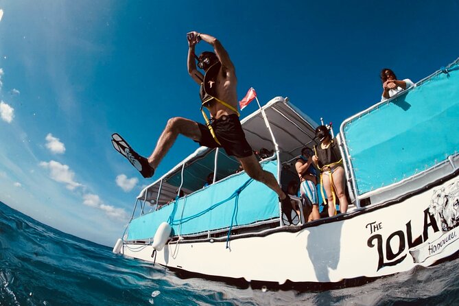 Waikiki Snorkel Tour - Turtle Canyons and the cleaning station