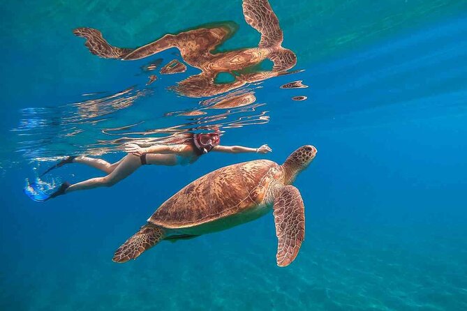 Waikiki Snorkeling Adventures with E Sea Diver! - Key points to know before you book