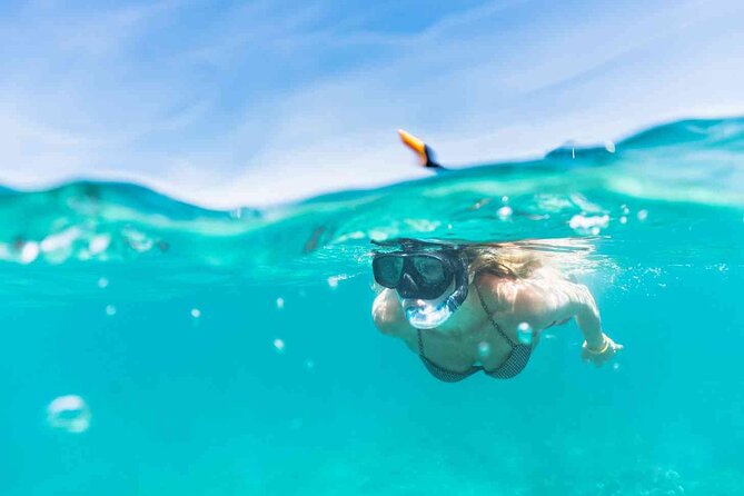 Waikiki Snorkeling Adventures with E Sea Diver! - What this Waikiki boat trip really is