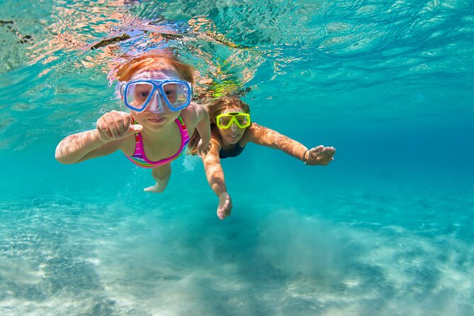 Waikiki Snorkeling Adventures with E Sea Diver! - Swimming, jumping, and the energetic side of the boat