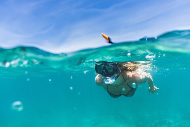 Waikiki Snorkeling Adventures with E Sea Diver! - The crew is the strongest reason to consider it