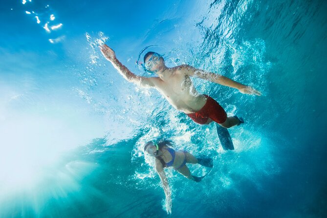Waikiki Snorkeling Adventures with E Sea Diver! - Costs, transportation, and timing