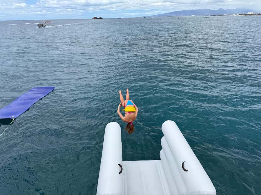 Waikiki: Snorkeling & Ocean Playground Experience - Snorkeling among Hawaiian fish and possible turtles