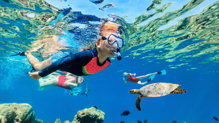 Waikiki: Snorkeling & Ocean Playground Experience - Arriving at Slip F06 and getting settled