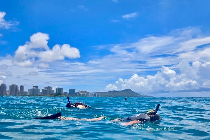 Waikiki Snorkeling & Ocean Waterpark Adventure from Oahu - Key Points to Know Before Booking