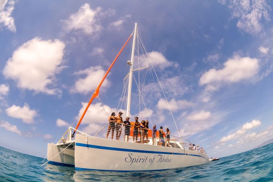 Waikiki Sunset Cocktail Cruise with Drinks and Appetizers - A light bento dinner with three meal choices