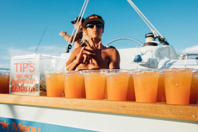 Waikiki Sunset Cocktail Sail with Open Bar - Waikiki looks different from the water