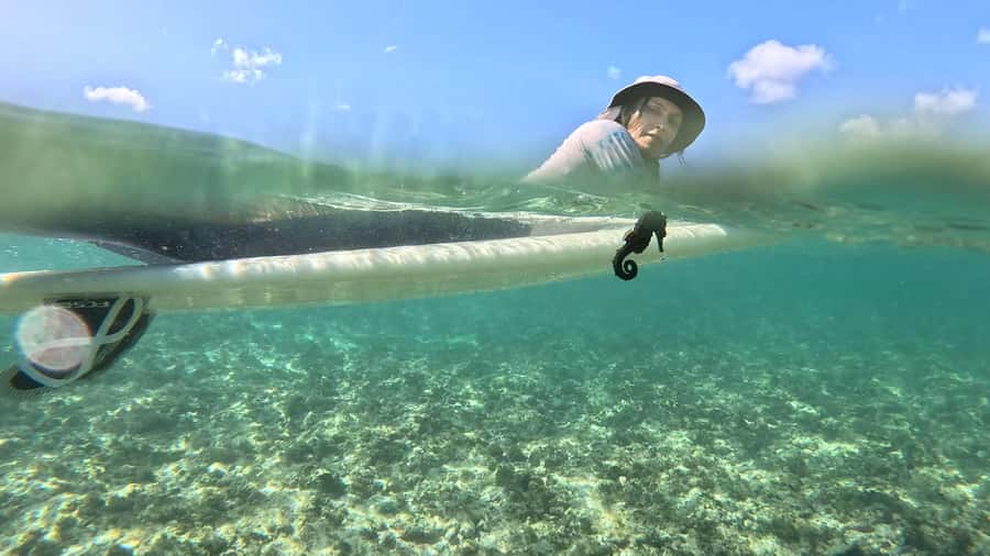 Waikiki: Surf Lessons Easy 60 min classes no crowds! - The land demo makes the first wave less confusing