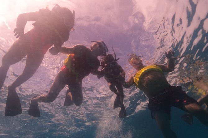 Waikiki: Turtle Canyon Snorkel - Snacks, water, and what to bring