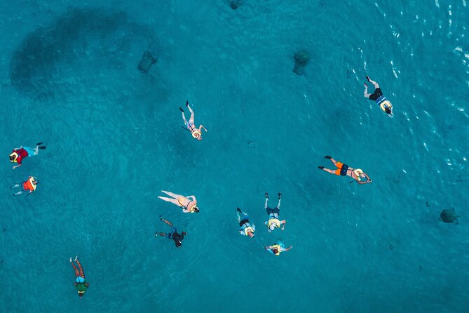 Waikiki: Turtle Canyon Snorkel - Is $68.60 a fair price?