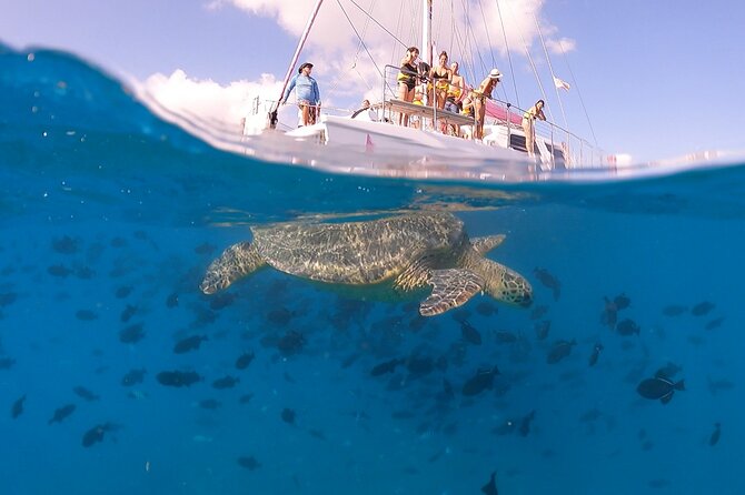 Waikiki: Turtle Canyon Snorkel - Who will enjoy this trip most?
