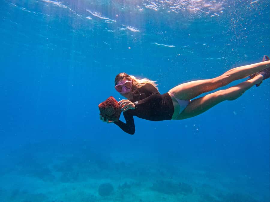 Waikiki: Turtle Canyon Snorkel Tour with Small Group - A quick ride from Kewalo Basin Harbor