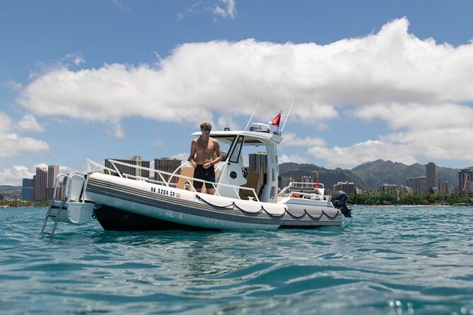 Waikiki Turtle Canyon Snorkel: Turtles Guaranteed - When to go and what wildlife you might see