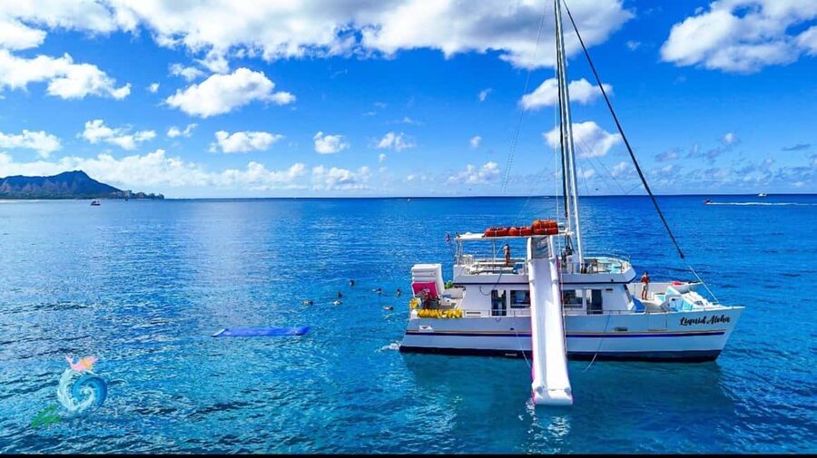 Waikiki Turtle Snorkel Adventure - Key points at a glance