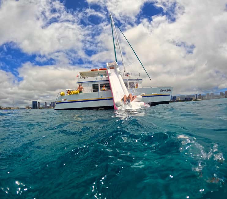 Waikiki Turtle Snorkel Adventure - Choosing the day’s snorkel site