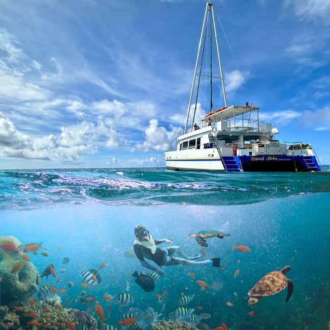 Waikiki Turtle Snorkel Adventure - What the boat provides between swims