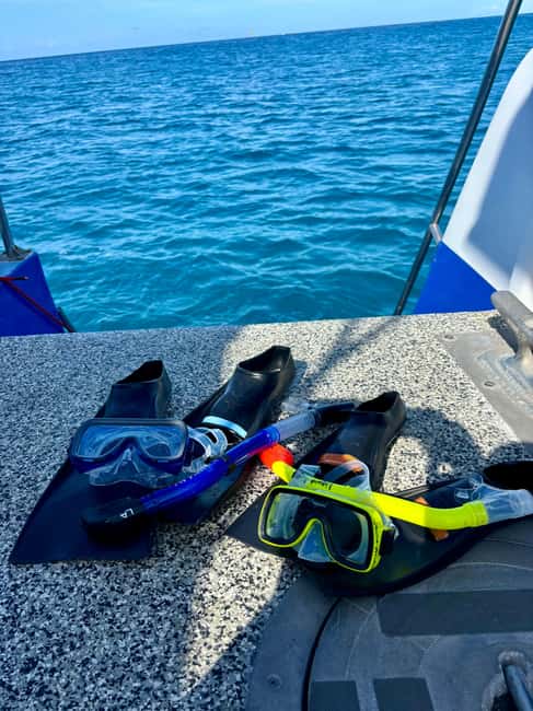 Waikiki Turtle Snorkel Adventure - Practical planning before you go