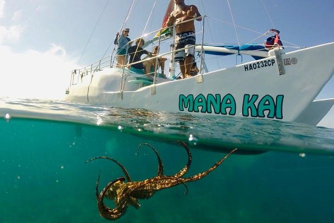 Waikiki Turtle Snorkel and Sail on Hawea Catamaran - Turtle Canyon is the reason to go