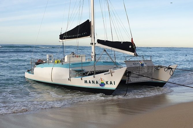Waikiki Turtle Snorkel and Sail on Hawea Catamaran - Marine life beyond the turtles