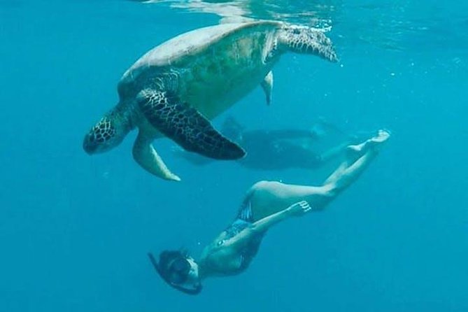 Waikiki Turtle Snorkel and Sail on Hawea Catamaran - What the Hawea catamaran adds