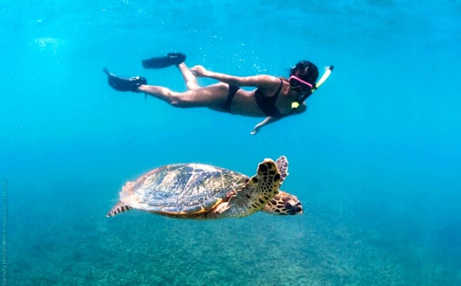 Waikiki: Turtle Snorkeling Cruise with 20ft Jumping Platform - Leaving Waikiki for the open Pacific