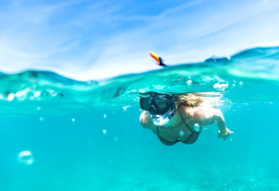 Waikiki: Turtle Snorkeling Cruise with 20ft Jumping Platform - The high platform for a second kind of thrill