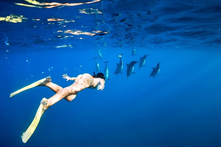 Waikiki: Turtle Snorkeling Cruise with 20ft Jumping Platform - Who will enjoy this cruise most