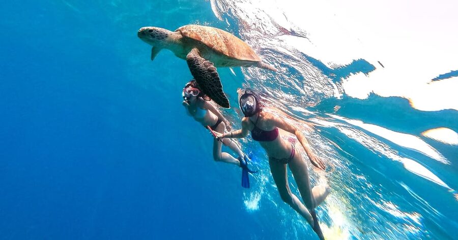 Waikiki: Turtle Snorkeling Cruise with 20ft Jumping Platform - The crew and the mood onboard