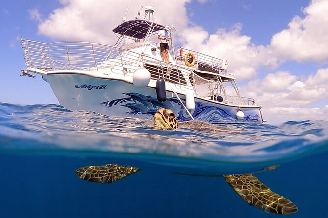 Waikiki Turtle Snorkeling Tour with Complimentary Trolley Ride - From Waikiki trolley to Kewalo Basin