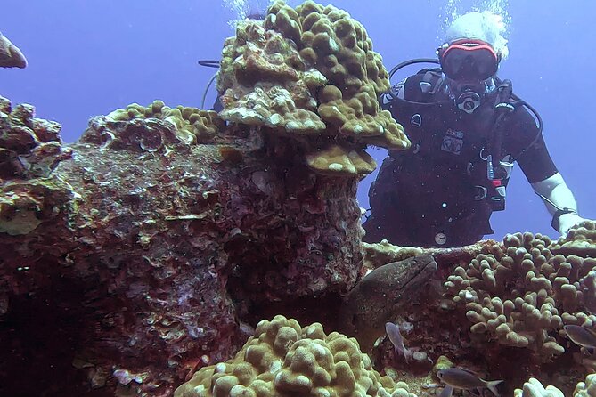 Waikiki Two Tank Guided Scuba Diving Adventure: Certified Diver - Why the Six-Diver Limit Matters
