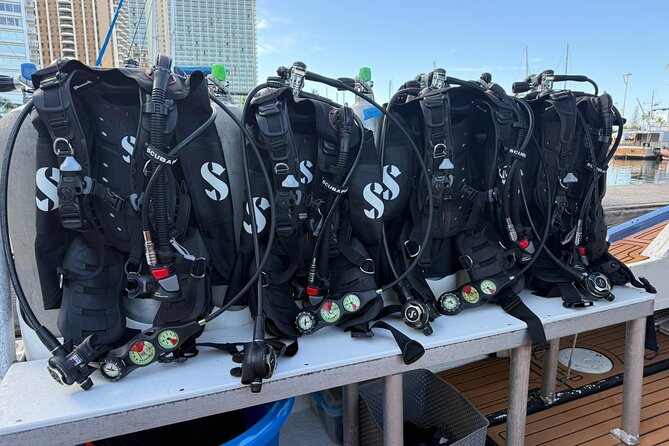 Waikiki Two Tank Guided Scuba Diving Adventure: Certified Diver - Leaving Ala Wai Small Boat Harbor