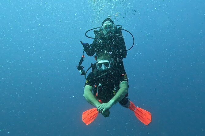 Waikiki Two Tank Guided Scuba Diving Adventure: Certified Diver - What the Guide Adds Underwater