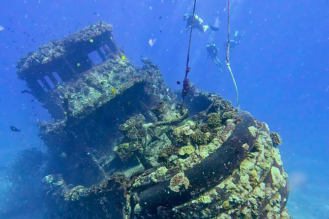 Waikiki Two Tank Guided Scuba Diving Adventure: Certified Diver - Equipment, Tanks, and Onboard Comfort