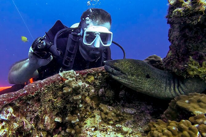 Waikiki Two Tank Guided Scuba Diving Adventure: Certified Diver - Booking Timing and Weather Considerations