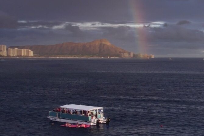 Waikiki Whale Watching Cruise - Key points to know before booking