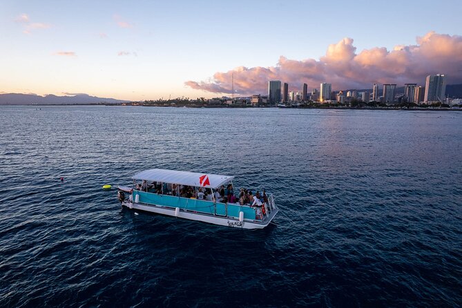 Waikiki Whale Watching Cruise - Getting to the Honolulu meeting point