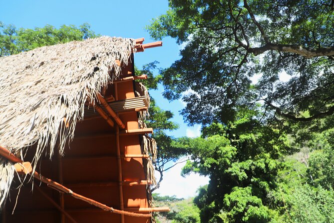 Waimea Valley Waterfall Swim & Dole Plantation Tour with Lunch - Key points to know before booking