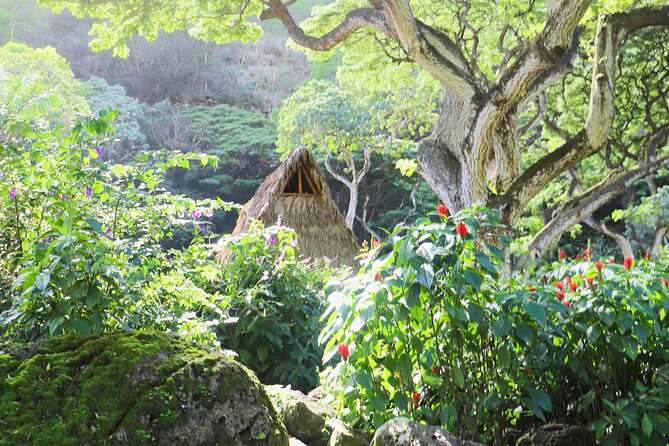 Waimea Valley Waterfall Swim & Dole Plantation Tour with Lunch - Lunch after the walk