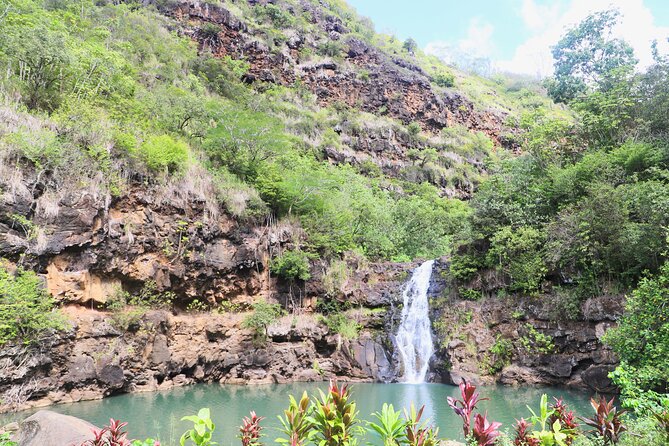 Waimea Valley Waterfall Swim & Dole Plantation Tour with Lunch - Dole Plantation, with a shorter-than-expected visit