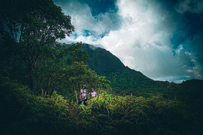 Waterfall Hike in Hawai'i Rainforest Trail - Guides Joe, Bryce, Erin, and Bruno