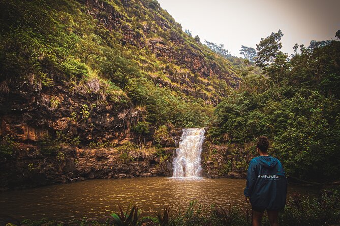 Waterfall Hike in Hawai'i Rainforest Trail - What the Tour Includes, and What You Should Bring