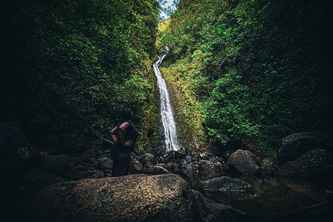 Waterfall Hike in Hawai'i Rainforest Trail - The Value of a Three-Hour Rainforest Outing