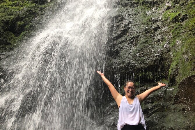 Waterfall Hike , Sightseeing & East Side Beach Day - What the guide adds on the trail