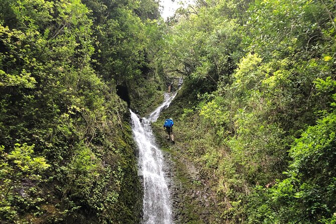 Waterfall Hike , Sightseeing & East Side Beach Day - Choosing the right waterfall trail