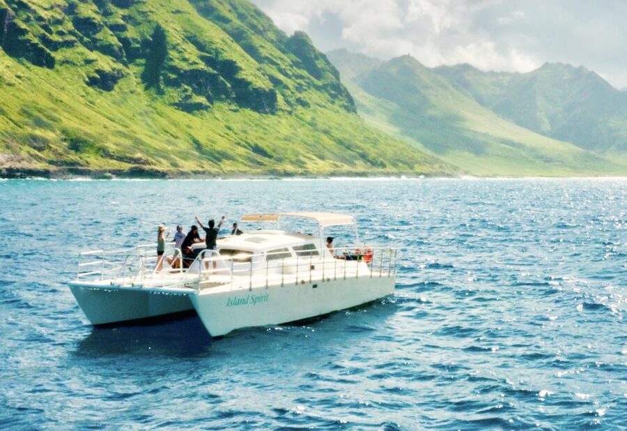 West O'ahu: Dolphin Watching and Snorkeling Catamaran Cruise - Watching dolphins in their own home