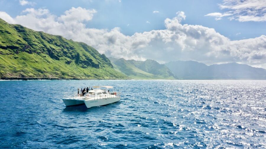 West O'ahu: Swim with Dolphins Catamaran Cruise - From Waikiki to Waianae before sunrise