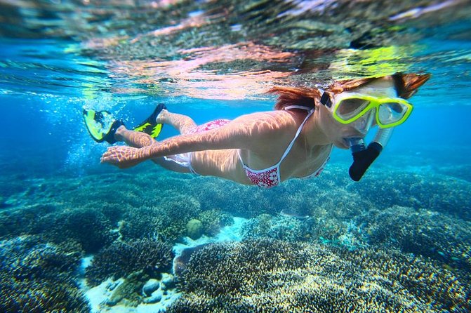 West Oahu Dolphin Watch and Snorkel Sail with Lunch - Who will enjoy this boat trip most