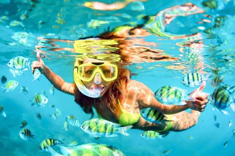 West Oahu: Turtles, Dolphins, and Snorkeling Tour with Lunch - Watching spinner dolphins in the open sea
