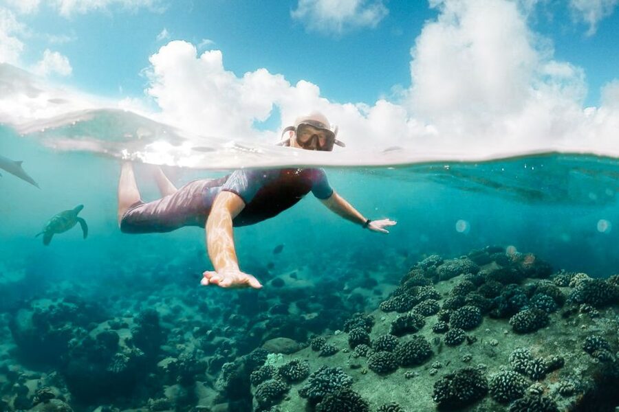 West Oahu: Turtles, Dolphins, and Snorkeling Tour with Lunch - A crew that stays involved